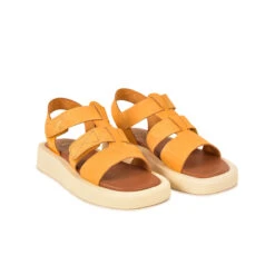 Pataugas ATARI/NU F2I OCRE 12 Pataugas ATARI/NU F2I OCRE -Pataugas SANDALE FEMME ATARI NU F2I OCRE 628448 251 4 0fc7fac9 5088 4f30 8f1a 4cc7a3bacf39